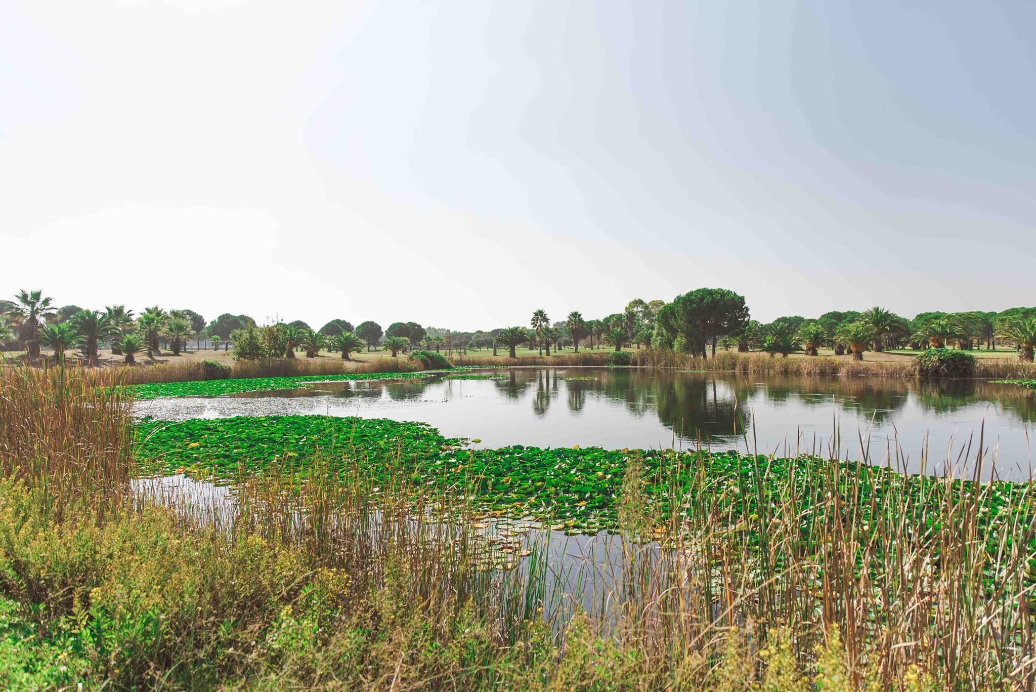 Paesaggio del lago e del campo Barialto Golf Club in Puglia